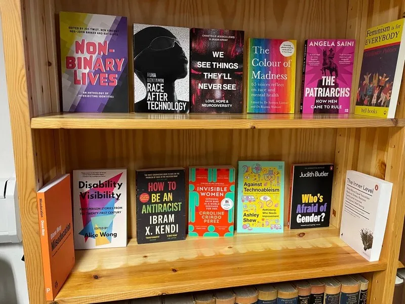 Two shelves of an inclusivity bookshelf, books face-out.